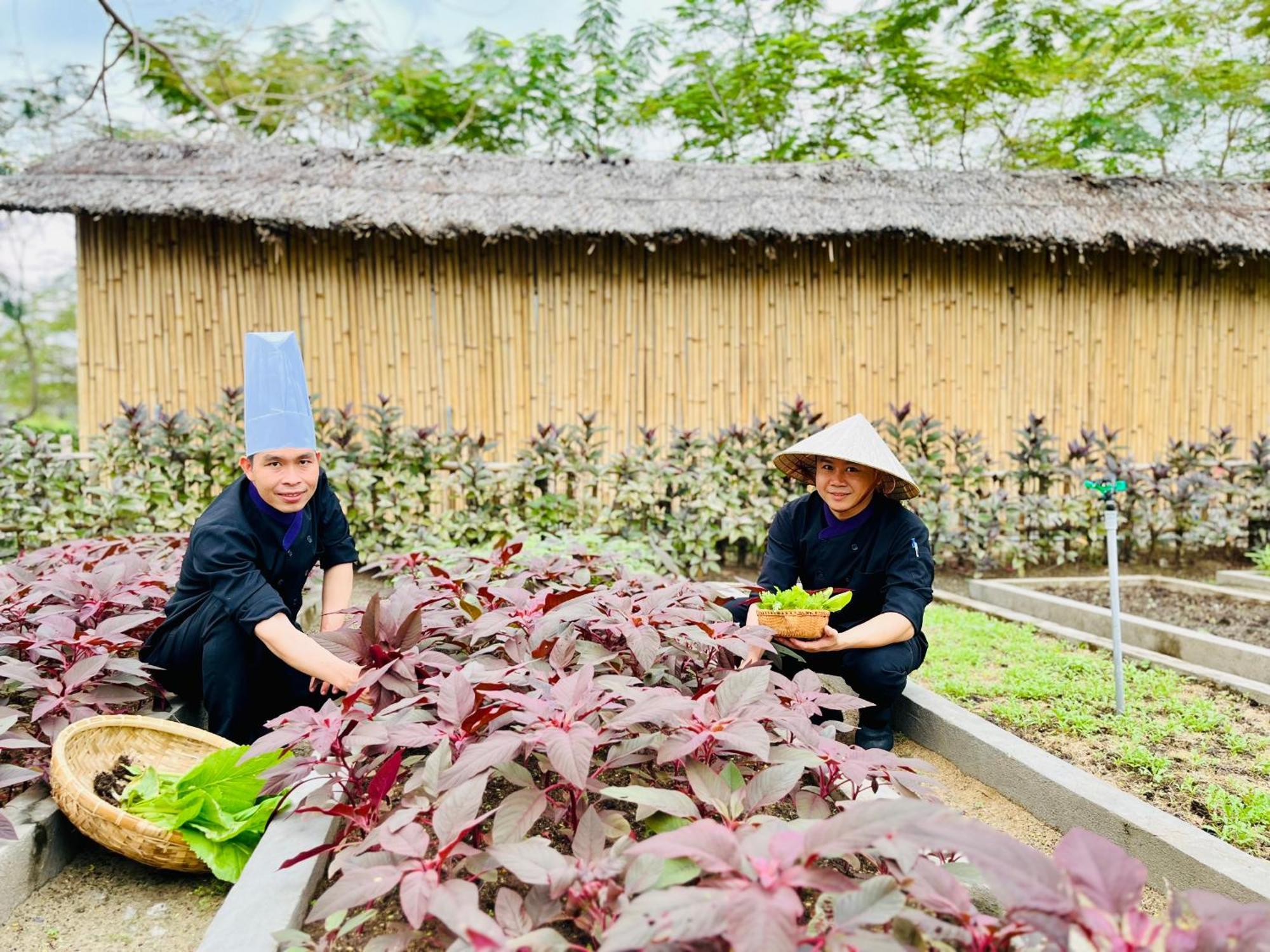 Ttc Van Phong Bay Resort - Himalaya Sauna & Steam Retreat Included Ấp Ninh Hòa  Εξωτερικό φωτογραφία