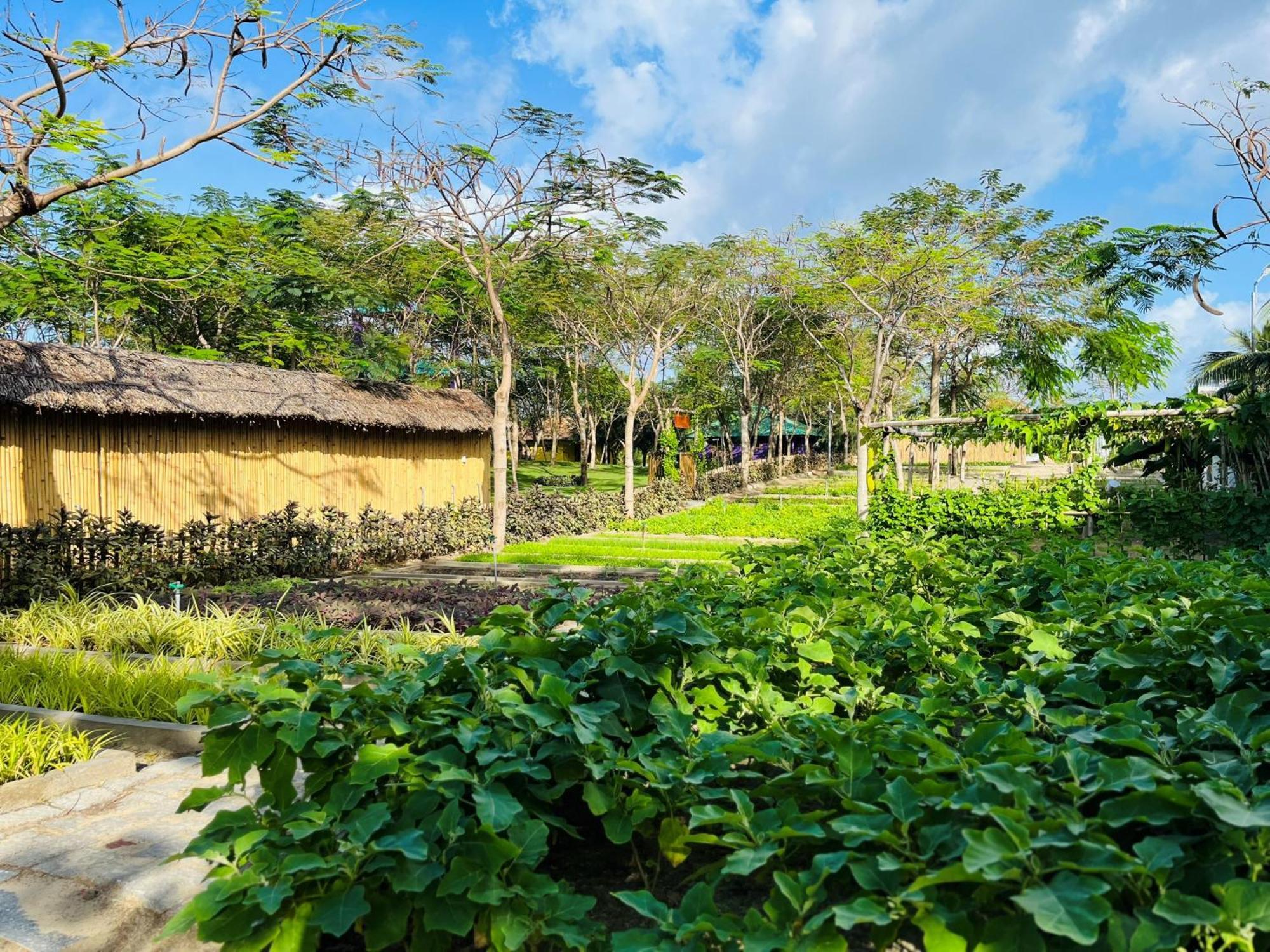 Ttc Van Phong Bay Resort - Himalaya Sauna & Steam Retreat Included Ấp Ninh Hòa  Εξωτερικό φωτογραφία